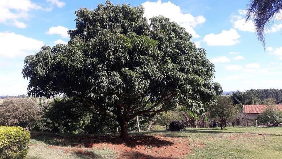 Sitio Em Atibaia - Sitio Beija-Flor Βίλα Εξωτερικό φωτογραφία